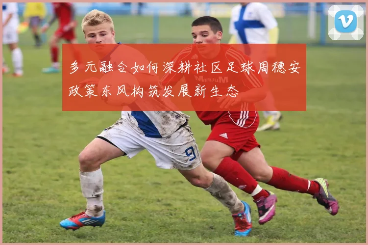 多元融合如何深耕社区足球周穗安政策东风构筑发展新生态