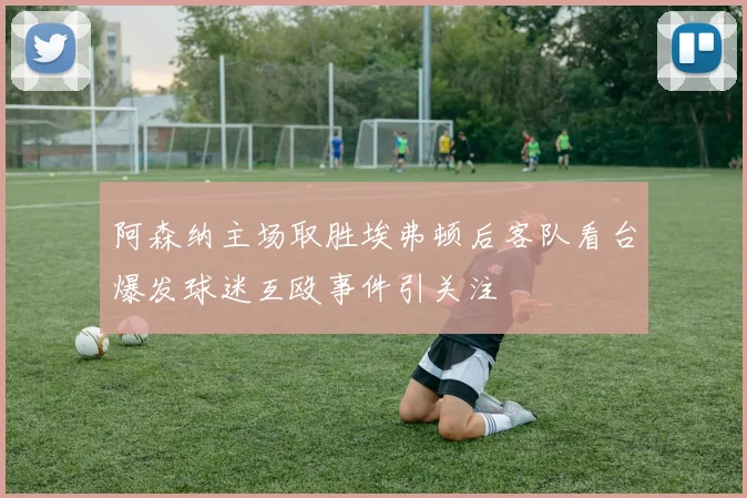 阿森纳主场取胜埃弗顿后客队看台爆发球迷互殴事件引关注