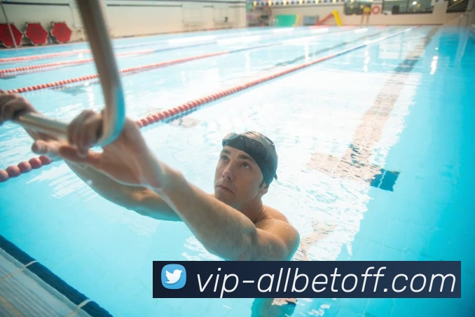 欧博官方中心平台生态图